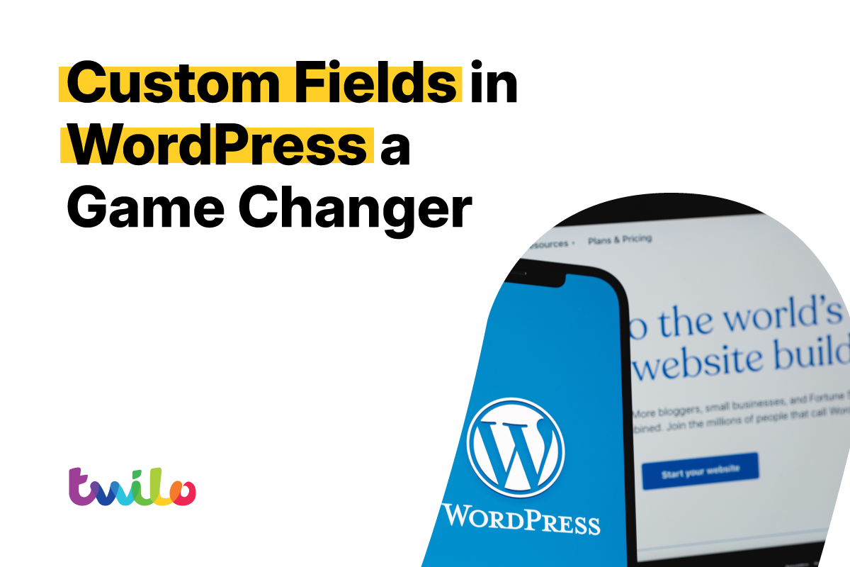 Blog Title: Custom Fields in WordPress a Game Changer